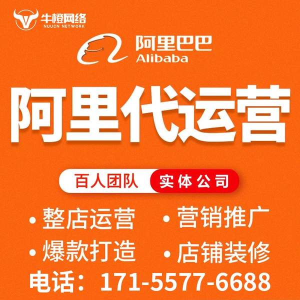 吴忠电商代运营