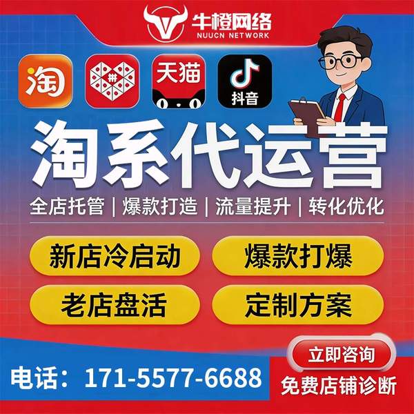 吴忠电商代运营