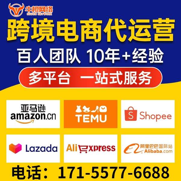 吴忠电商代运营