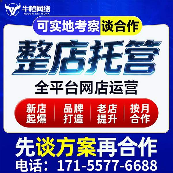 吴忠电商代运营