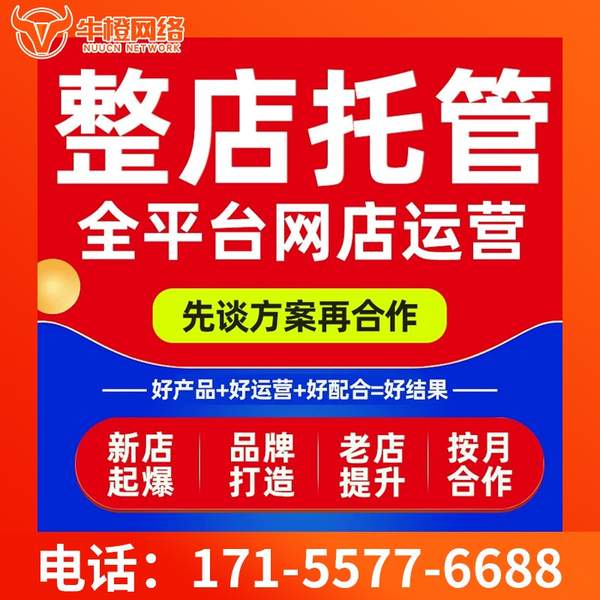 吴忠电商代运营