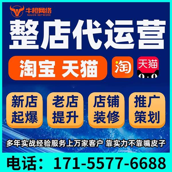 吴忠电商代运营