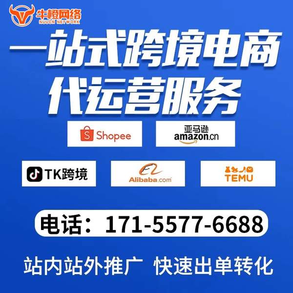 吴忠电商代运营