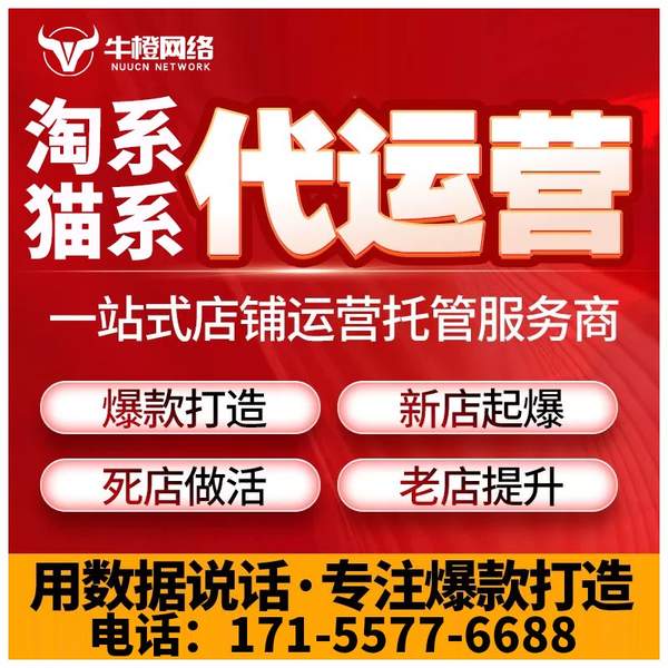 吴忠电商代运营
